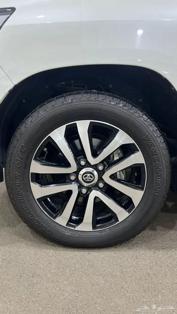 جي اكس ار 2019 تورينق 13