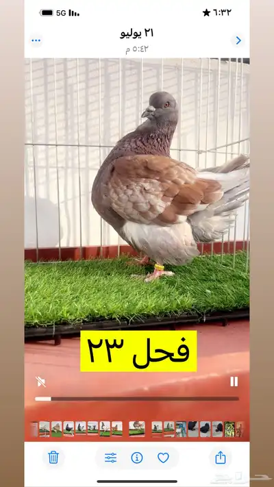 حمام فرش موندين 0