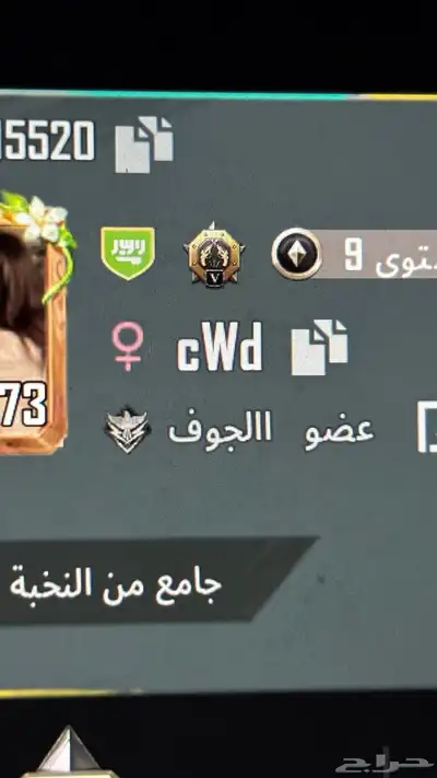اسماء ببجي ثلاثية تصويت منزل 4
