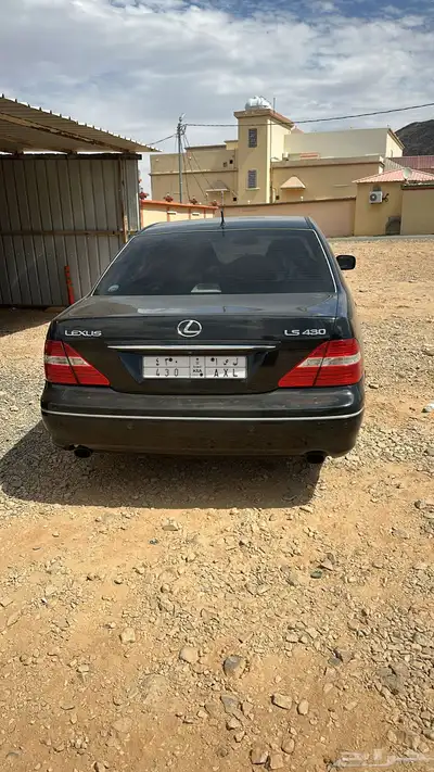 لكزز مديل 2004 13