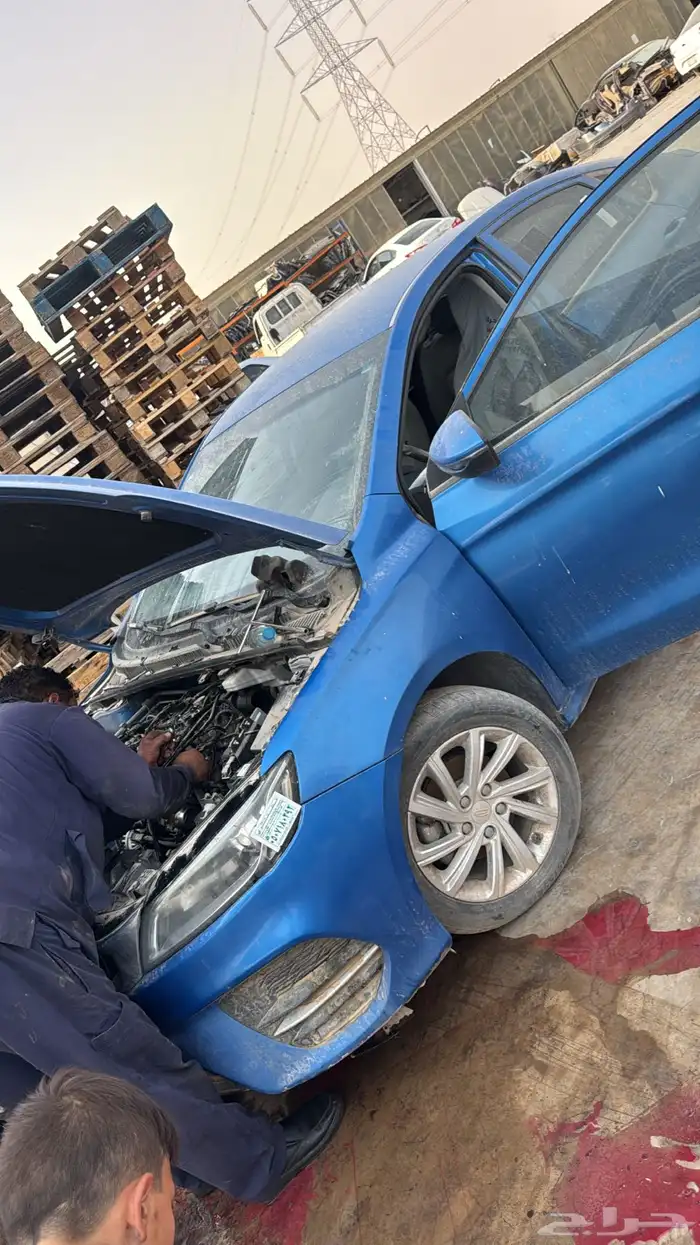 مكاين صيني 12