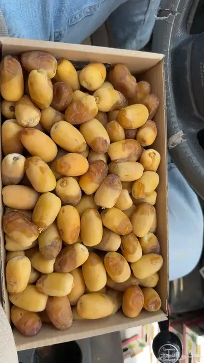 رطب إخلاص 0