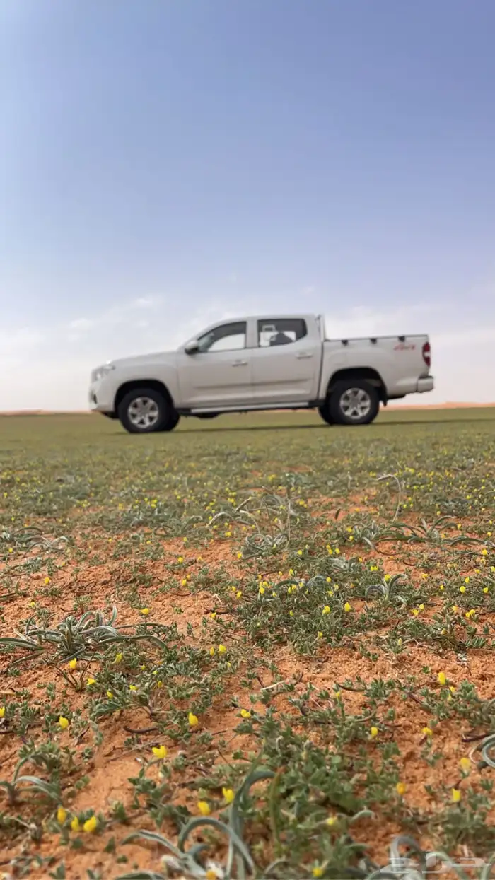 توصيل تمر لأنحاء المملكة من القصيم 0