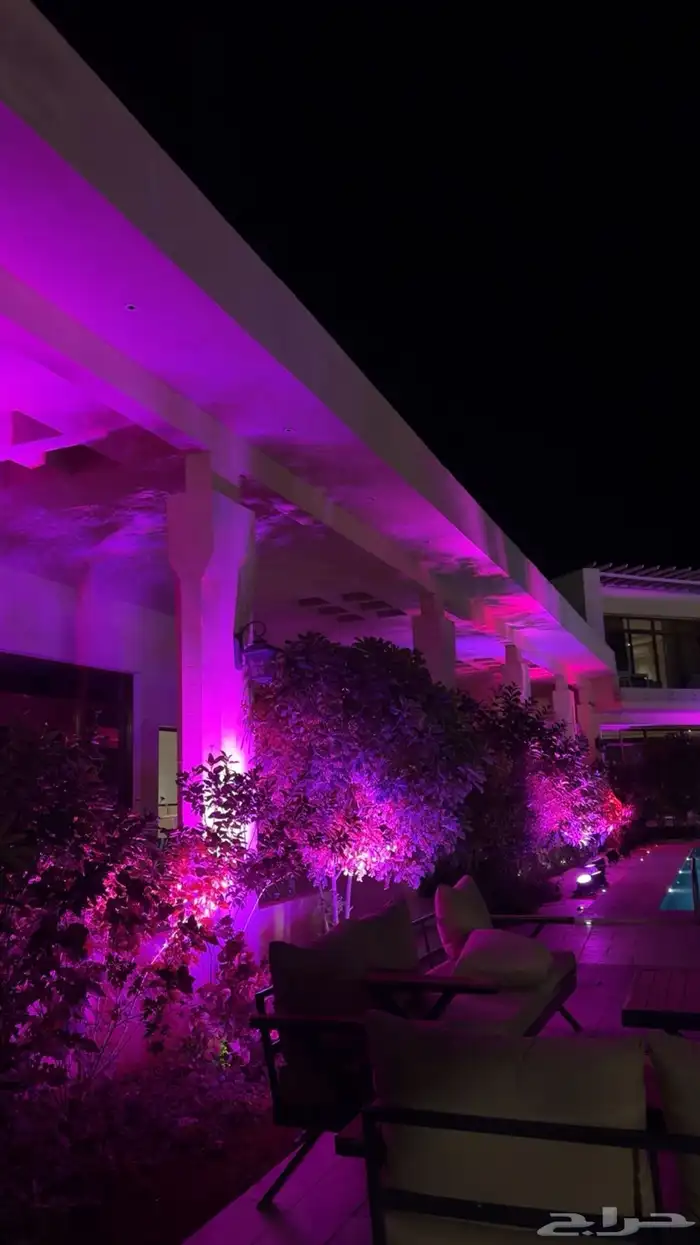 تأجير شاشات معارض ومؤتمرات 19