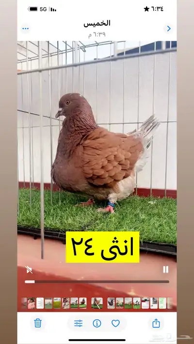 حمام فرش موندين 3