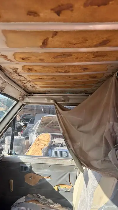 شاص 91مسقط بدون اوراق 6