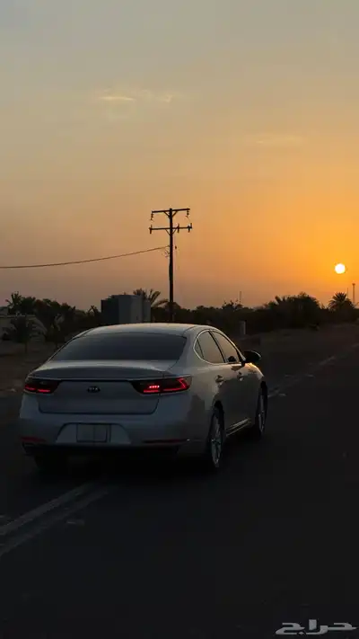 كادينزا 2017 2