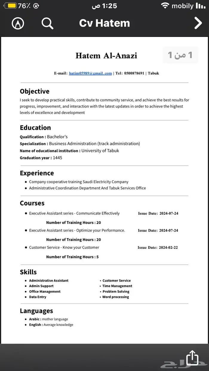 سيرة ذاتية ATS CV 12