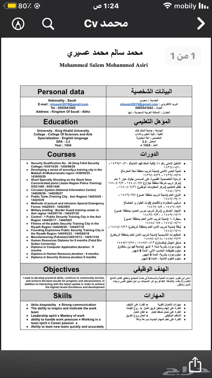 سيرة ذاتية ATS CV 14