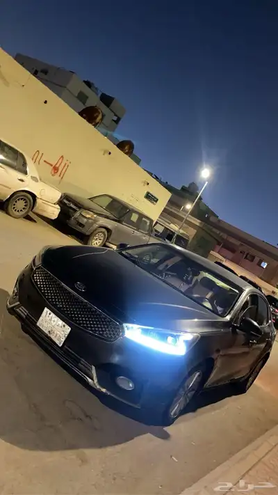 كادنزا 2018 1
