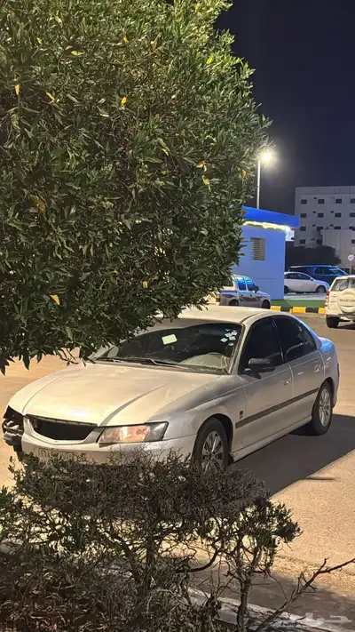 لومينا 2005 0