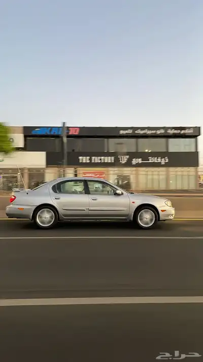 مكسيما 2007 7