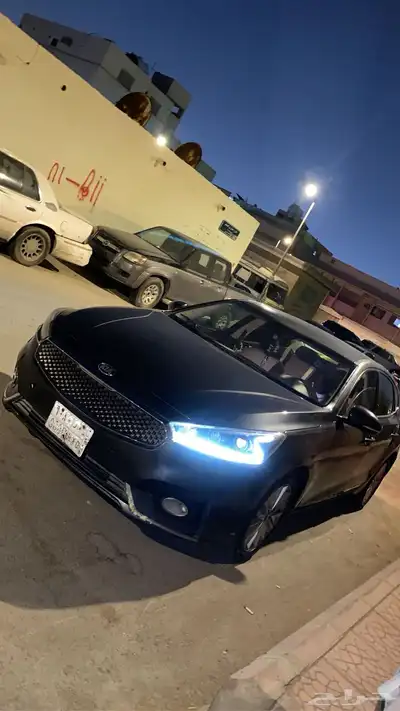 كادنزا 2018 0
