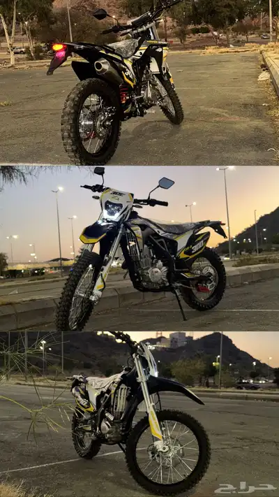 دباب صحراوي 3