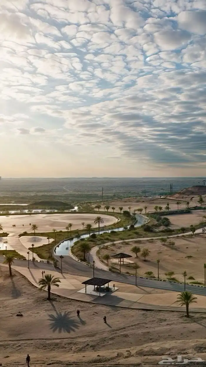 مصور درون 2