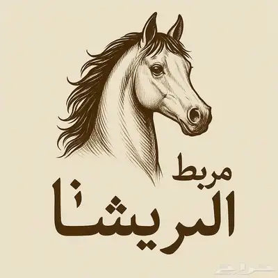 تدريب ركوب الخيل في مربط الريشا 0
