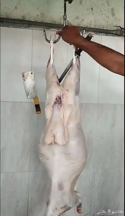 ذبايح 3