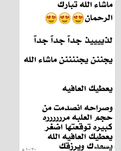 ورق عنب وملفوف وكوسى محشي الجوف 4