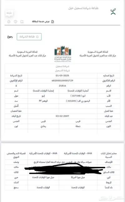 للبيع فرس مستوره من أمريكا واهو منتجه بنت( انزو) 4