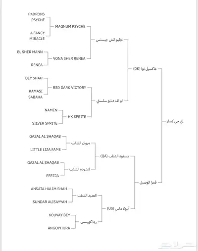 فرس مصرية 7