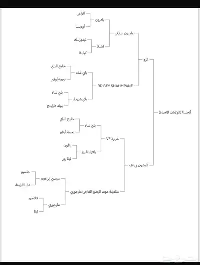 للبيع فرس مستوره من أمريكا واهو منتجه بنت( انزو) 5