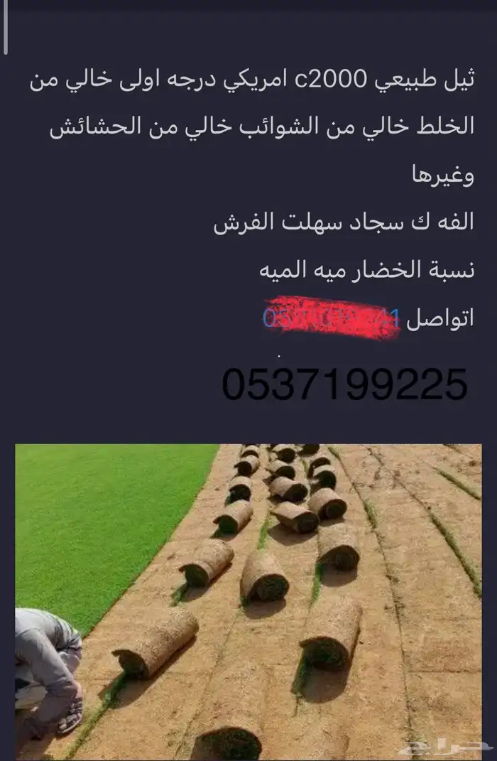 زراعة الثيل 0