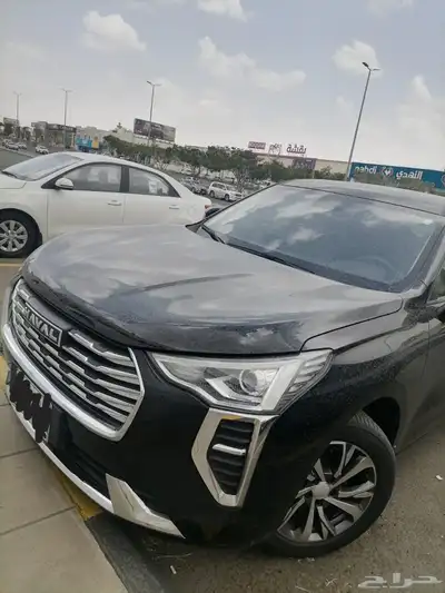 هافال جوليان 8