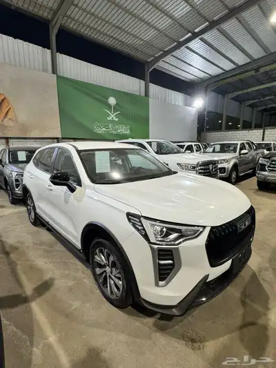 هافال جوليان استاندر 2025 10