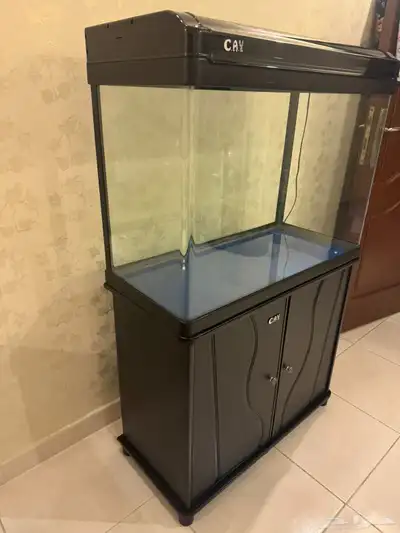 حوض سمك نظيف 2