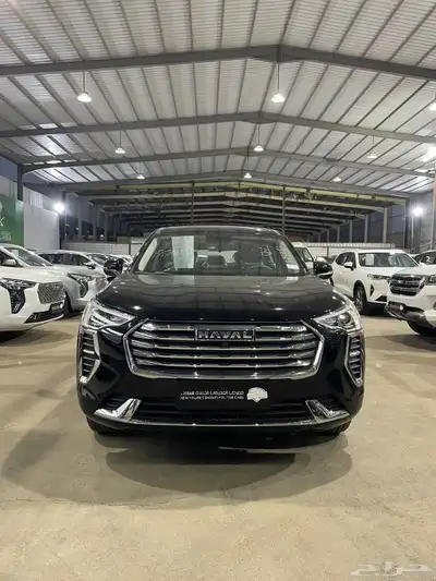 هافال جوليان استاندر 2024 14