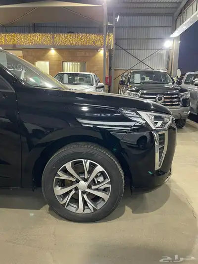 هافال جوليان استاندر 2024 13