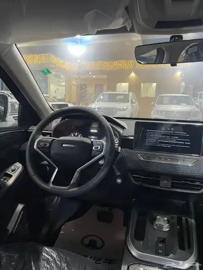 هافال جوليان استاندر 2024 19