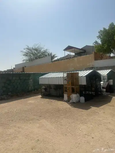 حمام لاحم 0