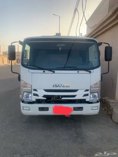 دينا مويدل 2022 3