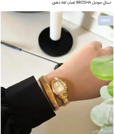ساعات ماركة بروشا الاصلي 3