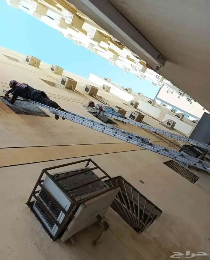 طارد طيور حفر الباطن 2
