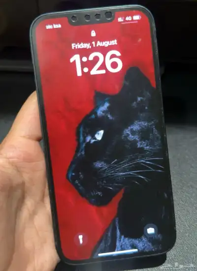 ايفون 13   256 قيقا 0