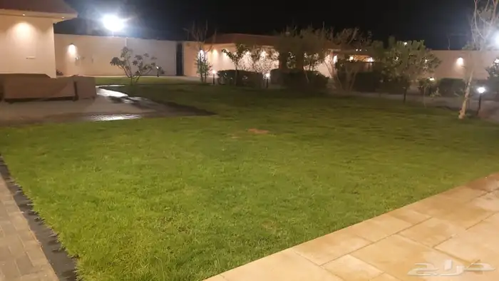 استراحة فاخرة للايجار بالعمارية 38