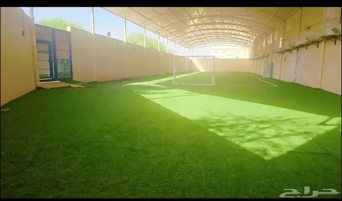 مدرسة مصرية 5