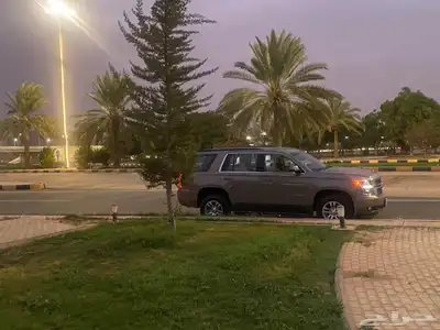 تاهو 2019 22