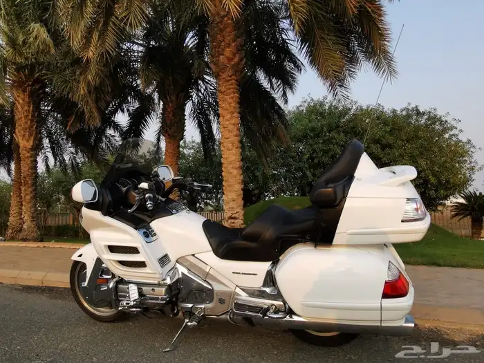 قولد وينق 2008 لفل 3 0