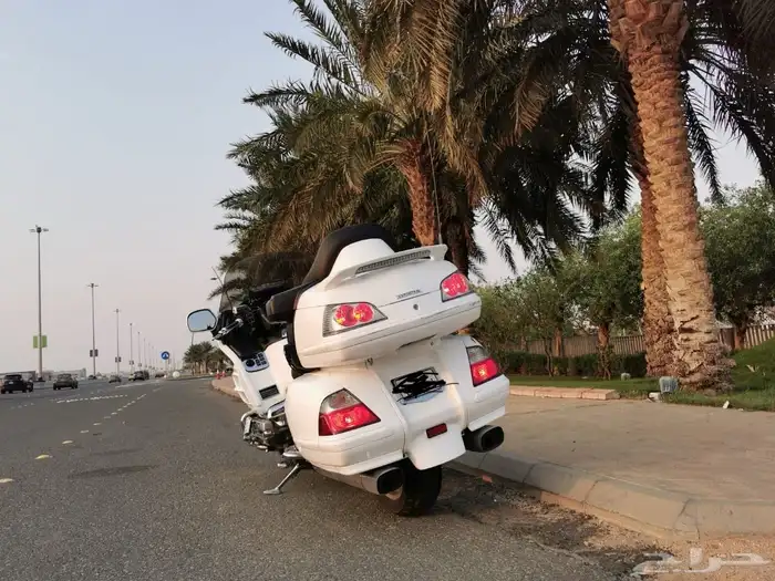 قولد وينق 2008 لفل 3 3