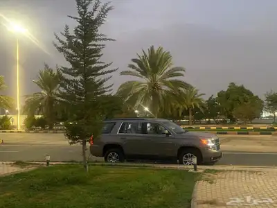 تاهو 2019 21