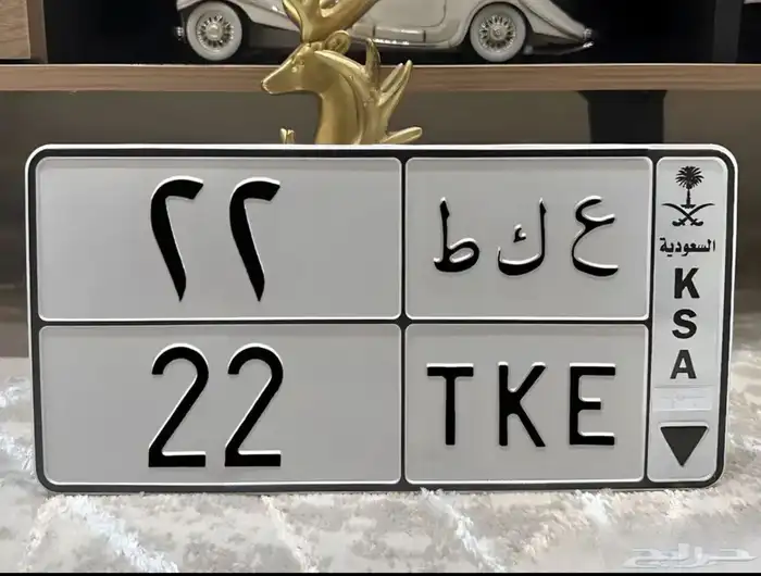 لوحة مميزة ثنائيه رقم 22 0