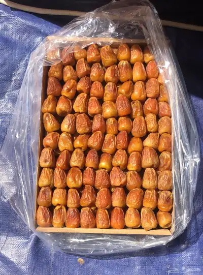 سكري جالكسي فاخر من مزارعنا بالقصيم منقى حبه حبه 0