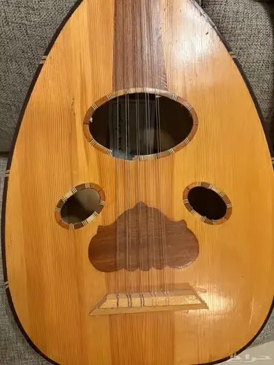 عود للبيع 4