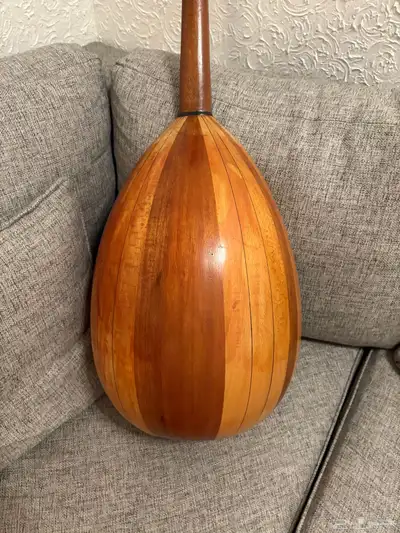 عود للبيع 7