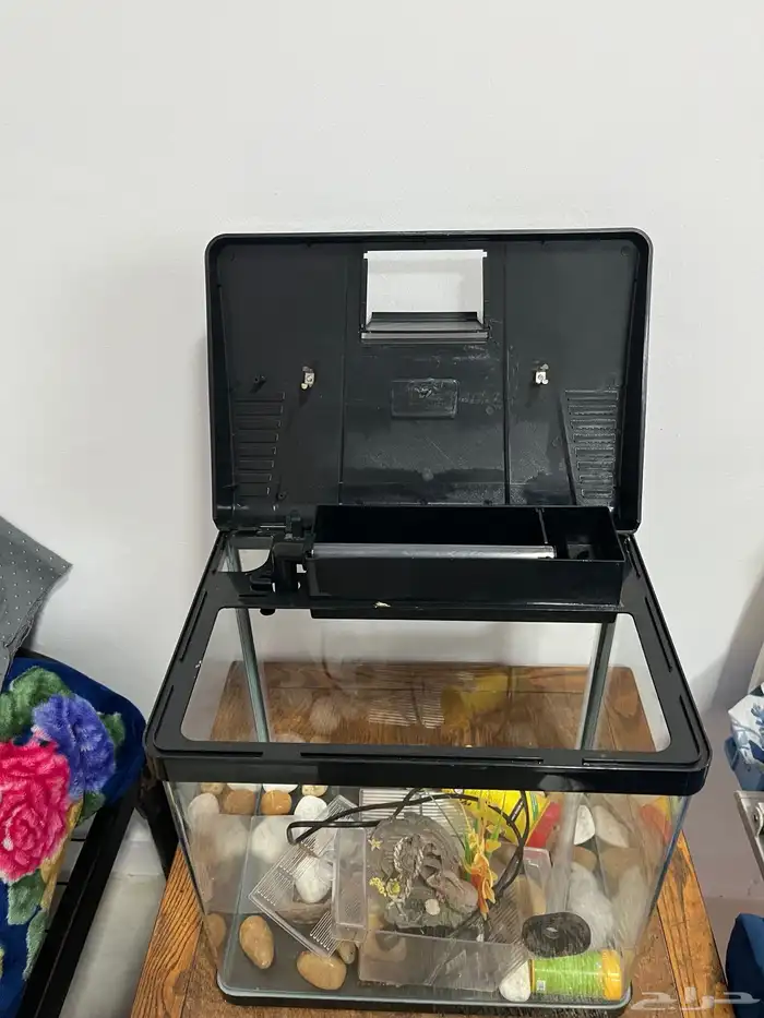 حوض سمك اقبل البدل تم البيع 5