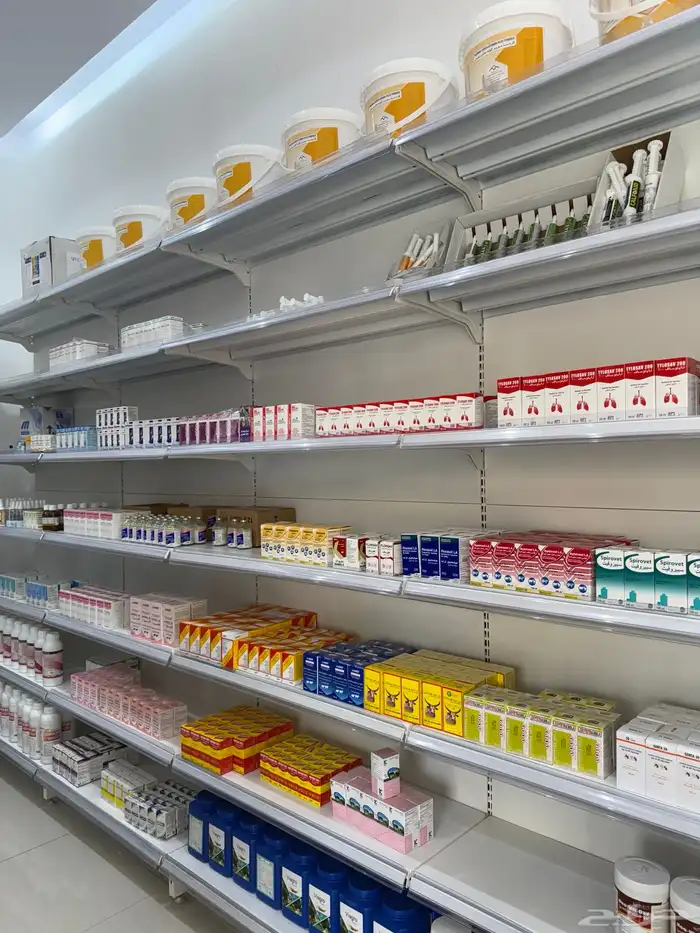 مركز صفوة الجياد 1