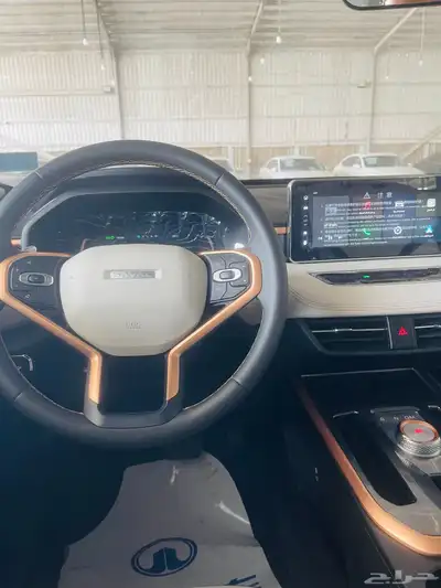 هافال جوليان اكتيف بلس 2024 19